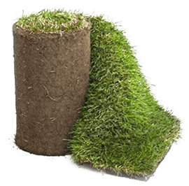 featured image for Fresh Sod