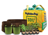 Complete Garden Kit: 1 BigYellowBag + Root Pouches + 10 PLANTS!