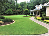 TifTuf Bermuda Sod